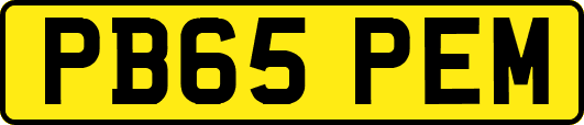 PB65PEM