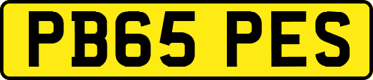 PB65PES