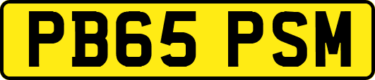 PB65PSM