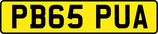 PB65PUA