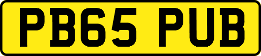 PB65PUB