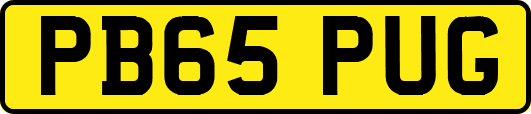 PB65PUG