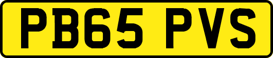 PB65PVS