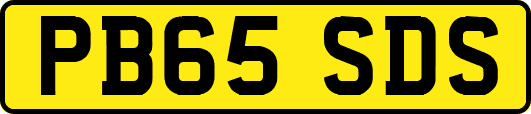 PB65SDS