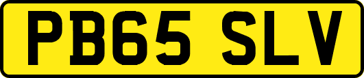 PB65SLV