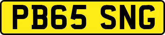 PB65SNG