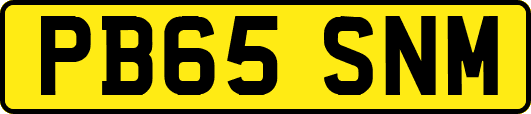 PB65SNM