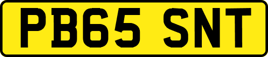 PB65SNT