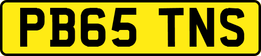 PB65TNS