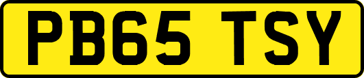 PB65TSY