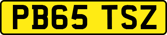 PB65TSZ