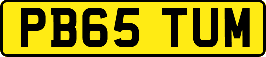 PB65TUM