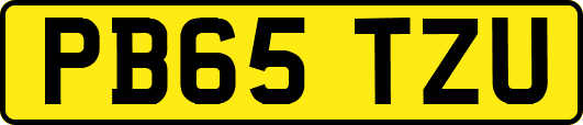 PB65TZU