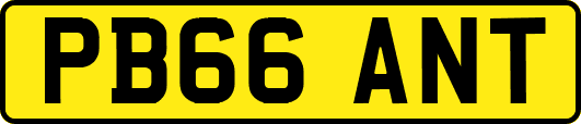 PB66ANT