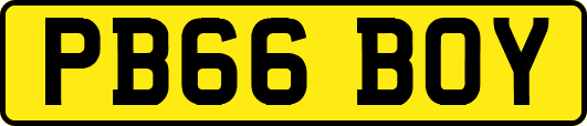 PB66BOY