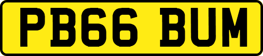 PB66BUM