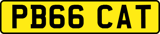 PB66CAT
