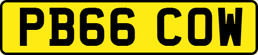 PB66COW