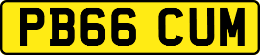 PB66CUM