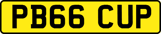 PB66CUP