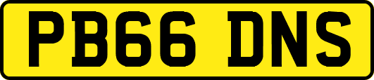 PB66DNS