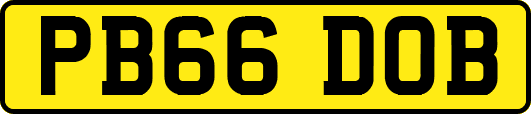 PB66DOB