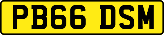 PB66DSM