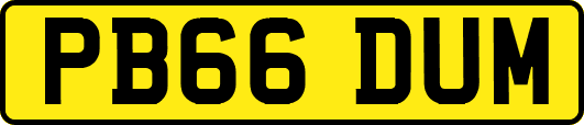 PB66DUM