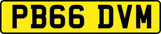 PB66DVM