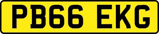 PB66EKG