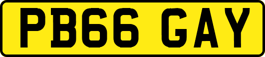 PB66GAY