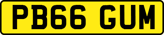 PB66GUM