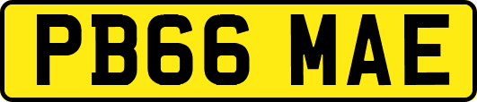 PB66MAE