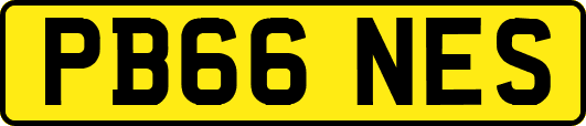 PB66NES