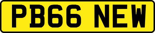PB66NEW