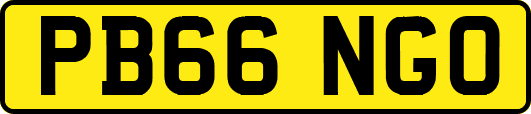 PB66NGO
