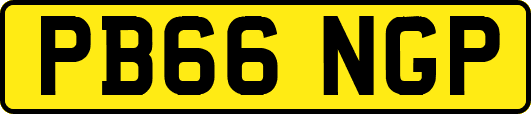 PB66NGP