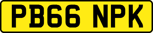 PB66NPK