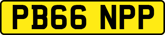 PB66NPP