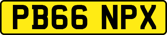 PB66NPX