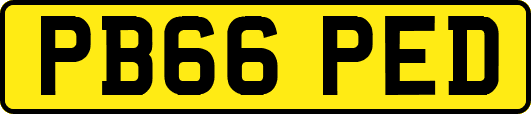 PB66PED