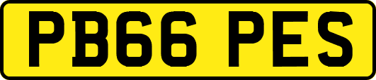PB66PES