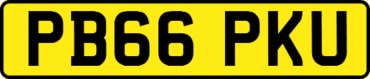 PB66PKU