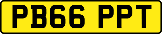 PB66PPT