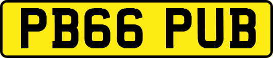 PB66PUB