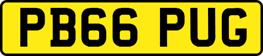 PB66PUG