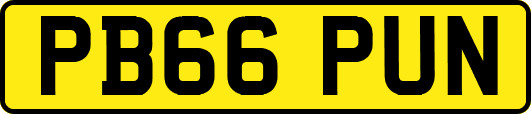 PB66PUN