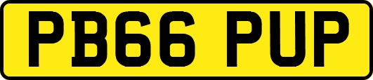 PB66PUP