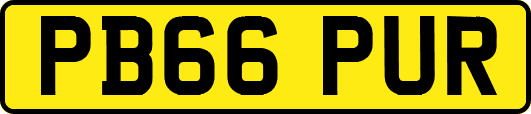 PB66PUR