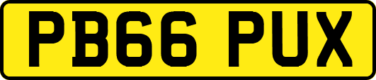 PB66PUX